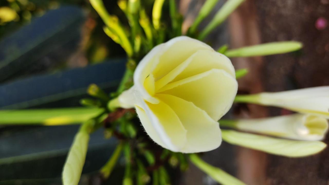 Kanthi Resorts Badami Bāgalkot Kültér fotó