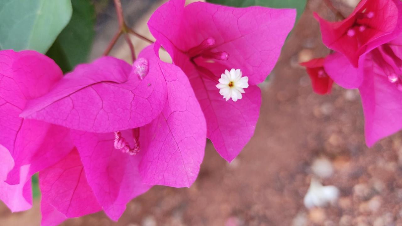 Kanthi Resorts Badami Bāgalkot Kültér fotó